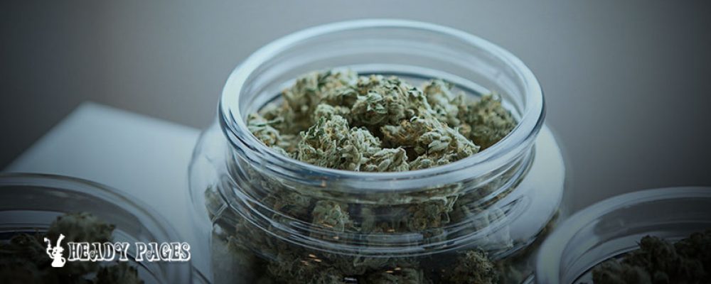 Texas Smoke Shop Owner Charged with Selling Cannabis Claims Products Were Legal Hemp