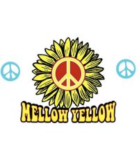 Mellow Yellow- Ft. Collins