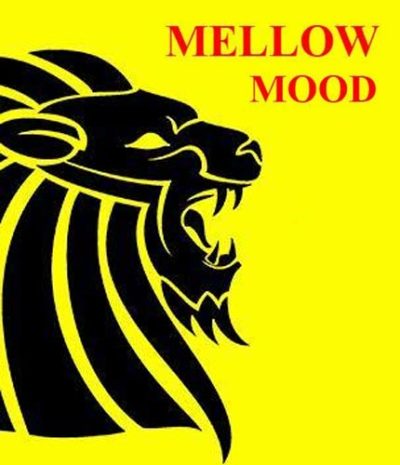 Mellow Mood Tampa